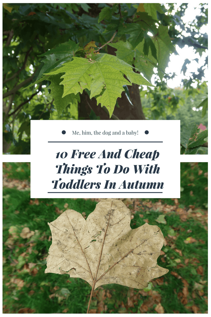 10 Free And Cheap Things To Do With Toddlers In Autumn - Me, him, the ...