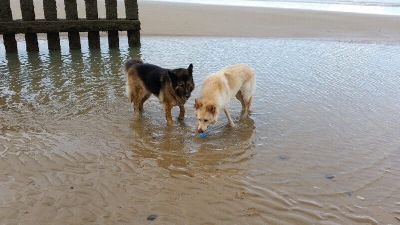 Overstrand Beach