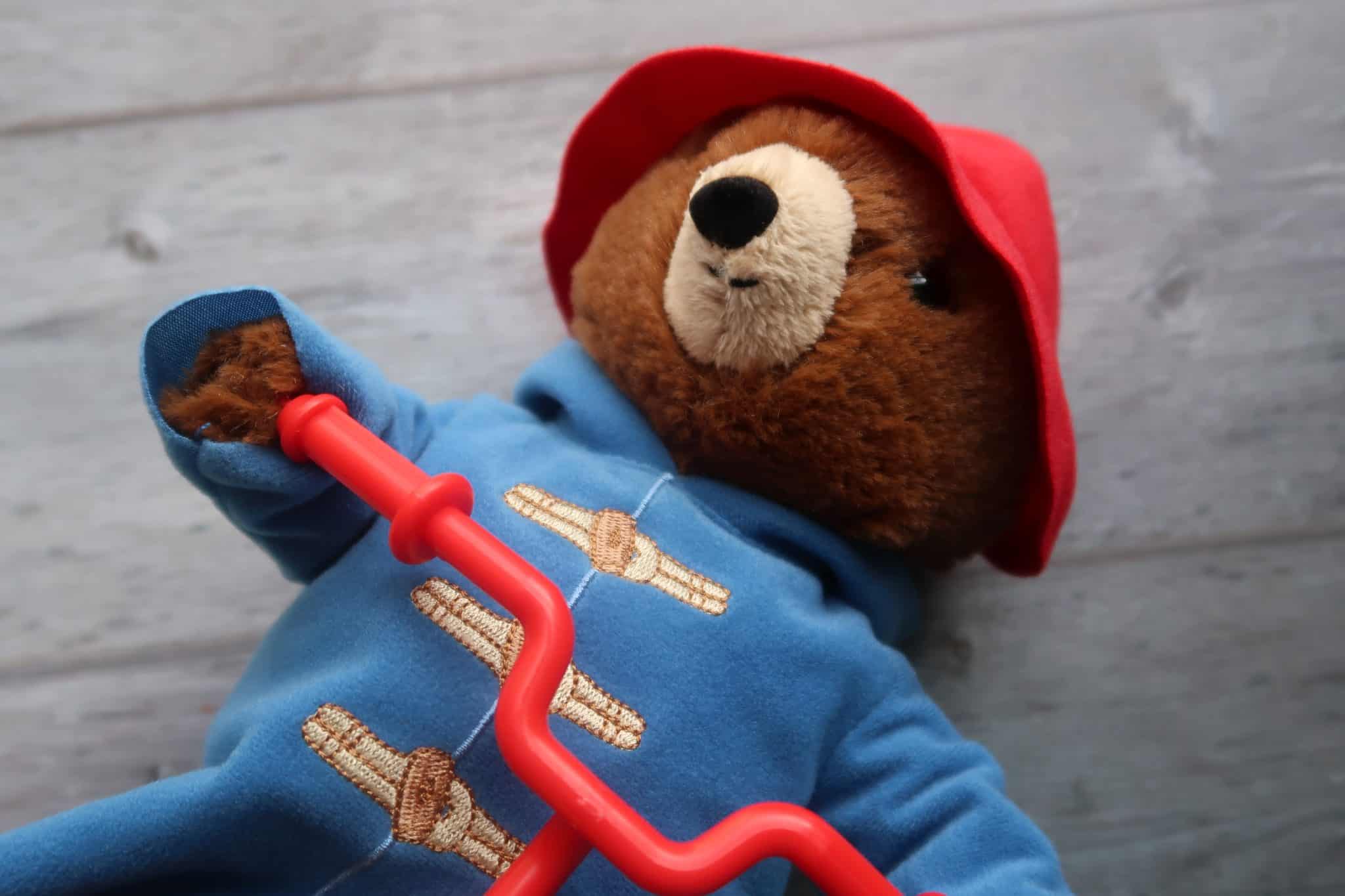 cycling paddington bear