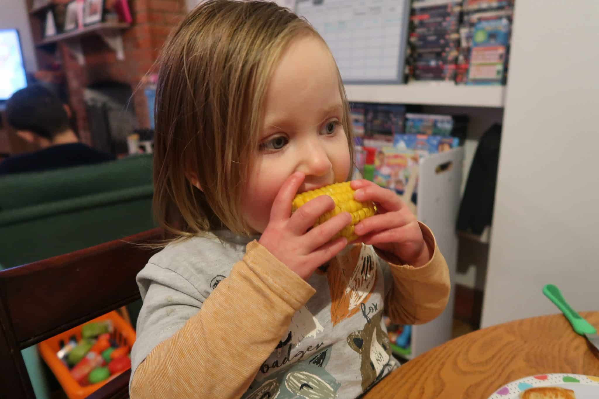 How Nursery Has Helped Our Fussy Eater