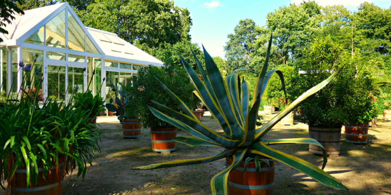 5 Benefits Of Adding A Conservatory To Your Home