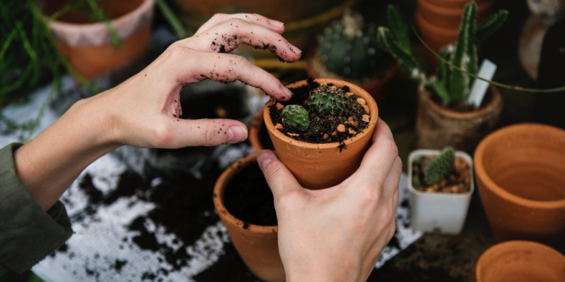 Spring Activities for Families