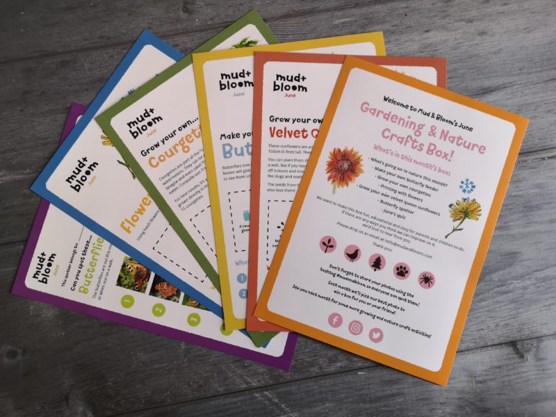 Mud & Bloom activity cards