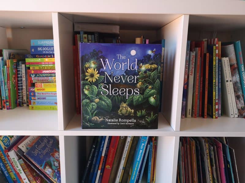 Children's Book Review: The World Never Sleeps