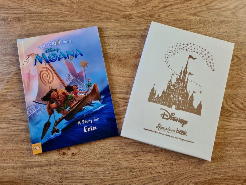 In The Book Moana Cover