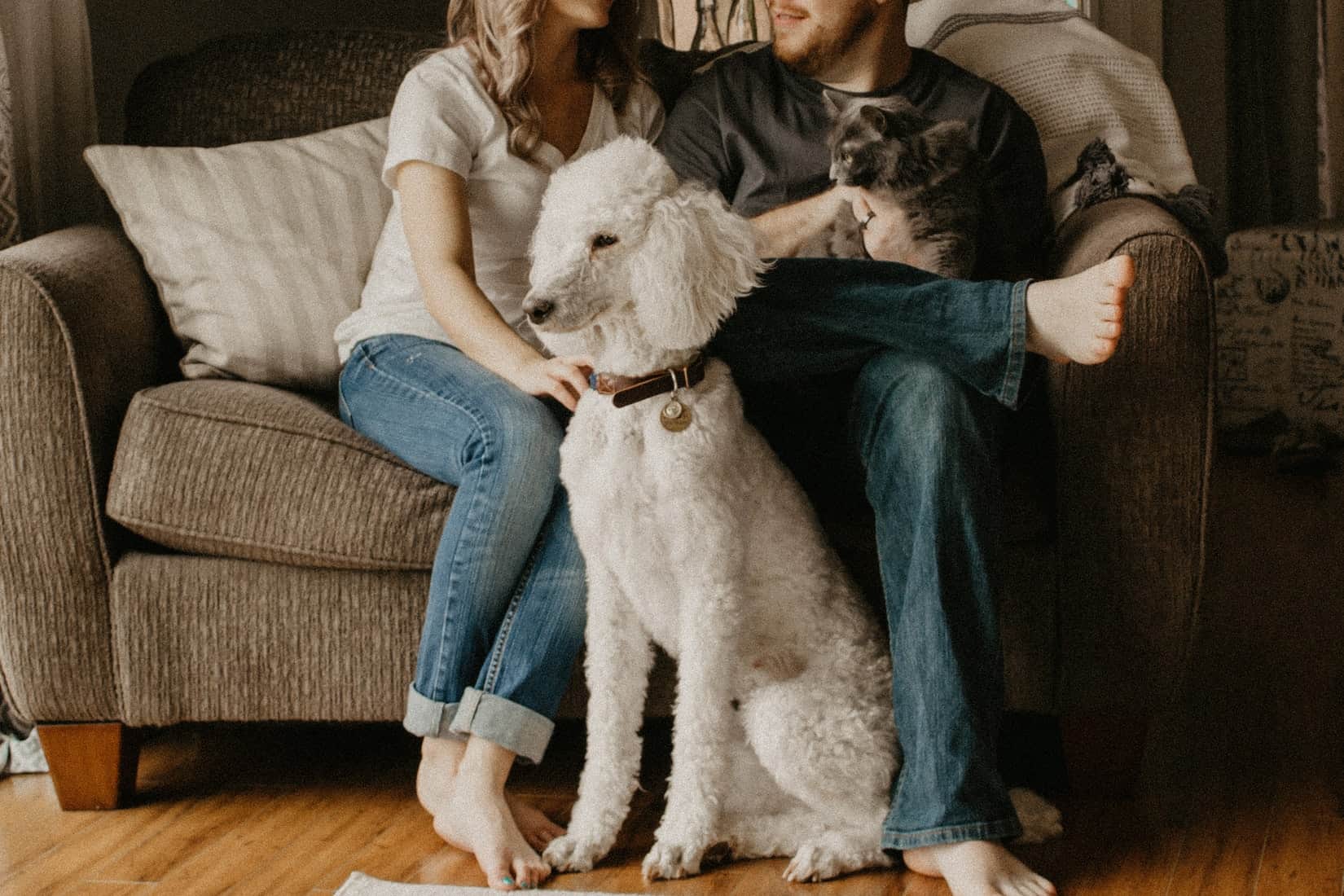 Family with dog and cat