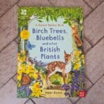 Birch Trees, bluebells and other British plants