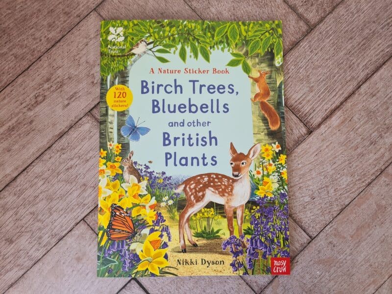 Birch Trees, bluebells and other British plants