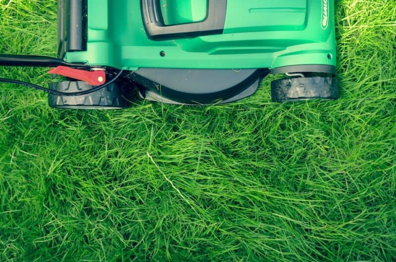 Green lawnmower on grass