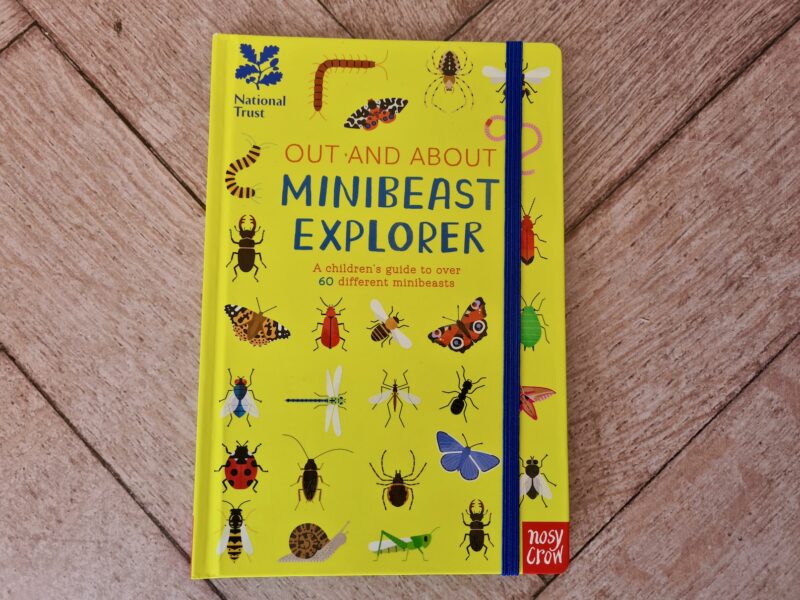 Out and About. Minibeast Explorer