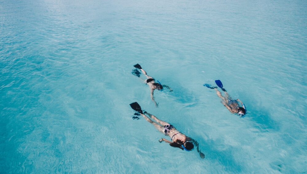 3 people snorkeling