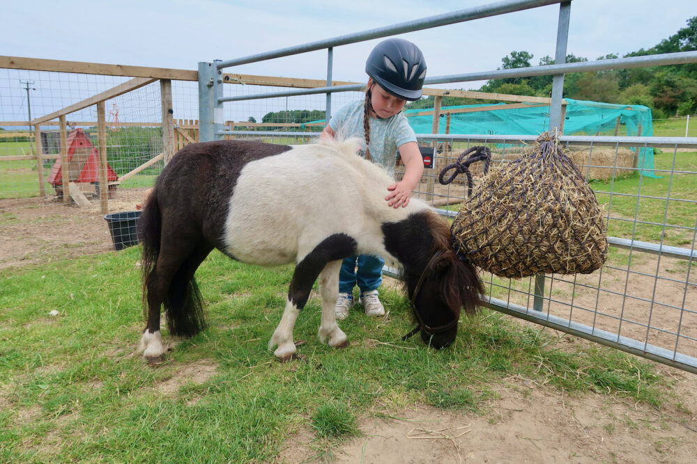 Bumblebarn Erin and Shetland pony