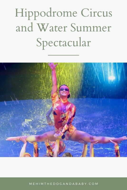 Hippodrome Circus and Water Summer Spectacular