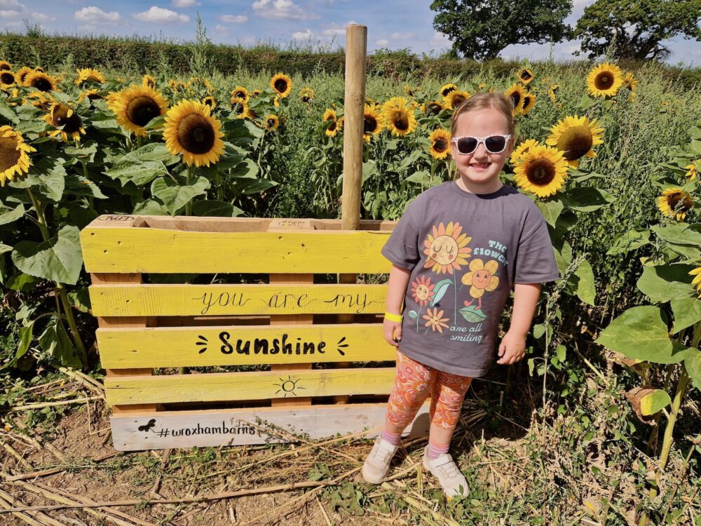 Wroxham Barns sunflower field