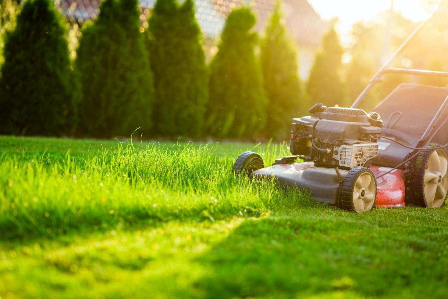 The Ultimate Guide to Lawn Mowers