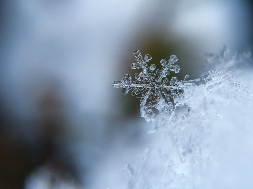 focus on snowflake in a winter setting