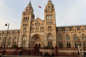 Visiting the Natural History Museum with children