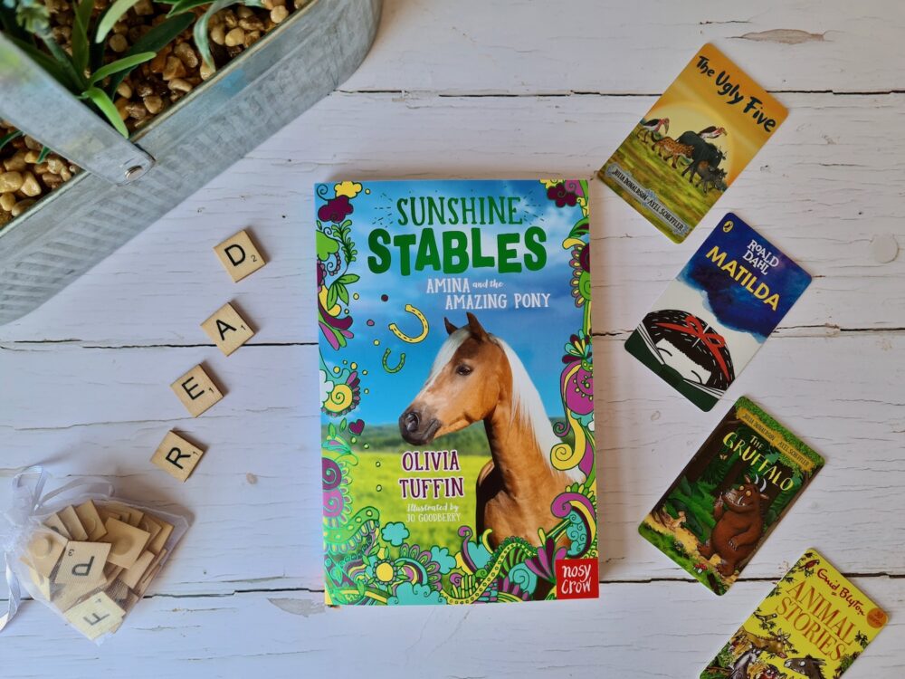 Sunshine Stables. Amina and the amazing pony cover