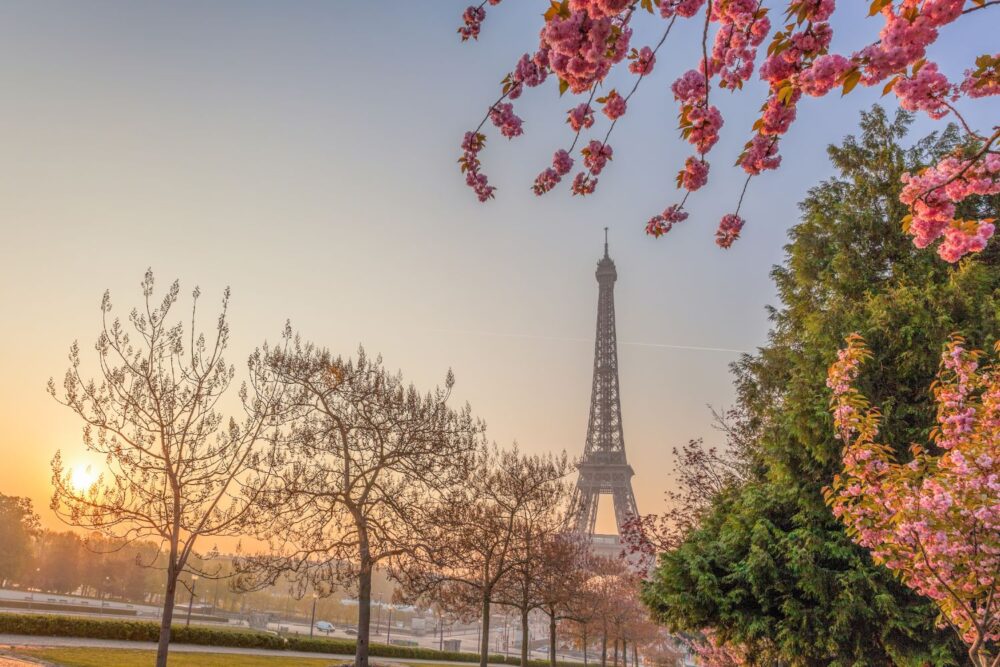 Tips for the Perfect Family Holiday in France
