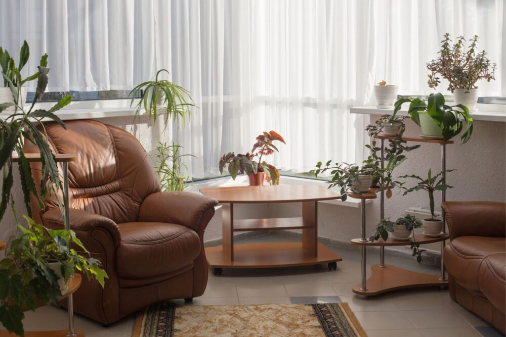 Freshen Up Your Home and Garden with These Handy Tips