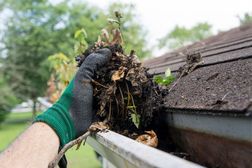 The Environmental Benefits of Clean Gutters and Roofs