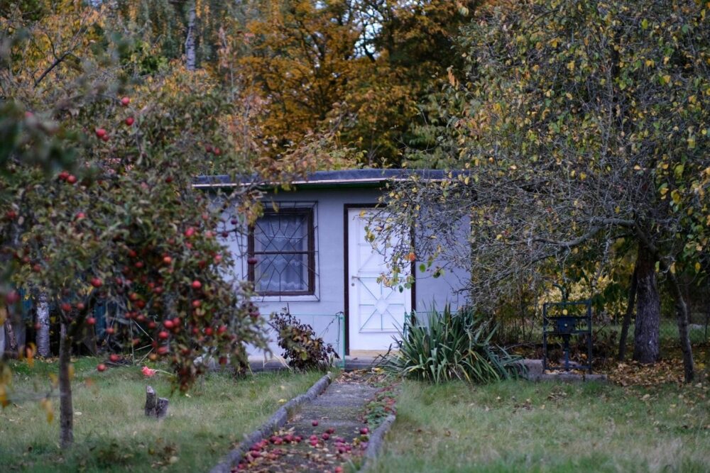 A quaint garden shed amidst colorful autumn foliage with apple trees and fallen leaves.