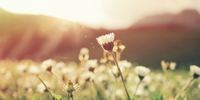 5 Things I Love About Spring