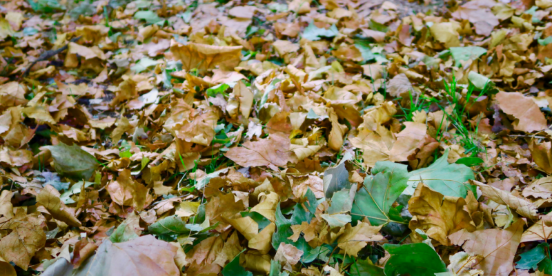 6 Things I Love About Autumn