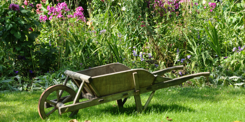 Kids love gardens! They’re a great place to play in and explore, at least as long as they’re kept safe. It can be a bit tricky to pull together a garden for the whole family, but it’s definitely possible, and with a bit of advice from Olive Grove I’ve been able to narrow down 7 ways to get the perfect family summer garden. Get the kids involved! A garden for the family should be planned by the family, not just by the adults. Let your kids get stuck in and give them time to find “their” area (the bit they like to play in the most) so you know not to cover it up or pave over it. If they’re less of the playing type, why not let them help plant seeds or ask them what kind of thing they’d like to play with in the ‘new’ garden? Be careful with water Accessible ponds and natural pools can be a lovely decoration, but they’re a big danger to children and family pets. A few inches is more than enough for a child to drown in, and even if they’re just sitting in the water, it could end up being really really cold! That’s not to say you should get rid of all the water, but you should definitely make it inaccessible to younger members of the family. Bordering off a pond or capping a water barrel can go a long way to keeping your garden safe. Always have a shared space It can be tempting to split your garden into the ‘play area’ and the ‘adult’s area’, but it’ll do your family no harm to mix them together a little bit! Putting most of the seating in the middle of the garden might help here, since it’ll draw the whole family towards the same area. Guests should also be considered – they might not be comfortable staying in a defined area, so it’s important to accommodate everybody in each area of the garden – even something as simple as some children’s chairs near the adult’s tables or a bench near the children’s area could work just fine! Get involved in DIY DIY projects can be a great way to make your garden a more accessible space – building a treehouse might be a bit out of your league, but you could always make a wooden shelter for your children to play in and around. For the adults, you could try making a canvas shelter sail to give you more protection from the rain, or some entirely DIY furniture that everybody could help build! Use suitable surfaces Gardens are never just grass – you’ll have patios, stone paths and dirt areas, all of which are a lot less soft. Kids might like playing on something that’s a bit more solid, but falling over could seriously hurt them! If they’re adamant about fooling around on your patio or porch, give them a thick blanket to try and break their fall. Even if they still hurt themselves, at least they won’t get splinters or cuts: just a little bump. Don’t overextend your ideas If your garden is too small to use as a full-sized playground for your kids, try giving them something a bit more improvised. If you’re adding a lot of hedges, you can turn it into a hide-and-seek area (or bring out the water pistols when summer rolls around)! That’s not to say you should try something more exotic – plant some palm trees or add some foreign decorations and give your garden a unique twist! Spend time out there The most important secret to a good family garden is to keep using it – family members, both children and adults alike, definitely benefit from the time they spend together, so using the space as often as possible makes a huge difference. Plus, it gives you an excuse to change things around now and then. Let your children grow up alongside your garden, and eventually it might become more important to the household then the living room!