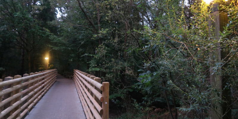 A Midweek Break At Center Parcs