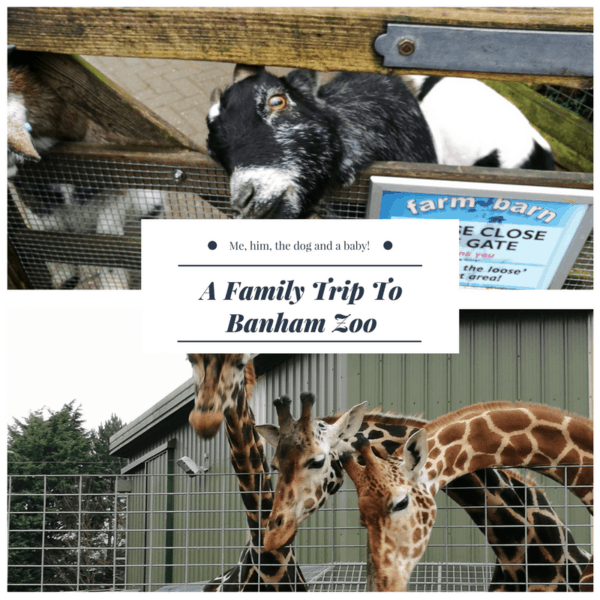 Banham Zoo