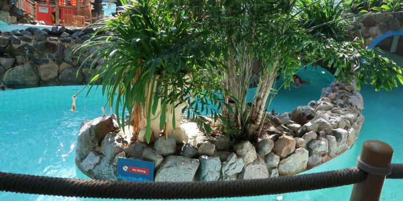 Center Parcs Activities: Subtropical Swimming Paradise