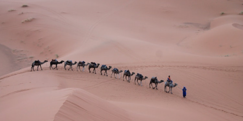 Choosing Morocco As A Family Holiday Destination