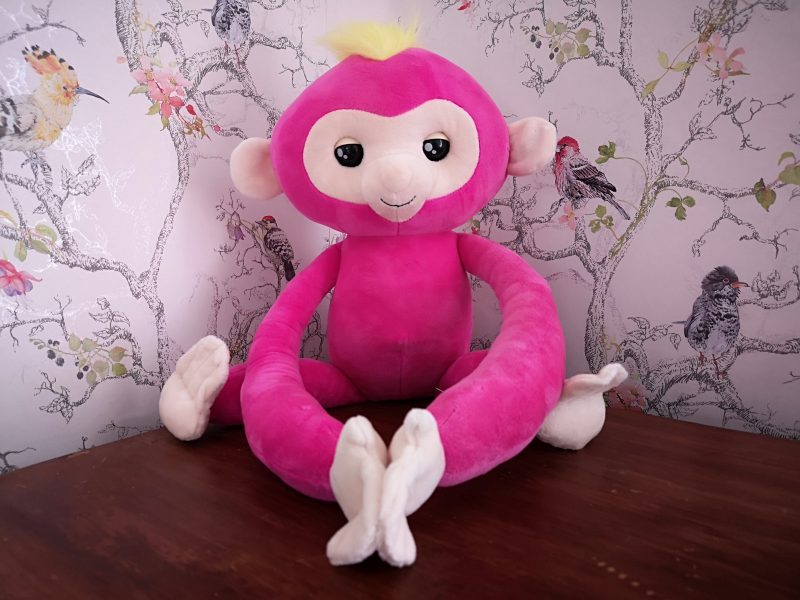 fingerlings hug sloth