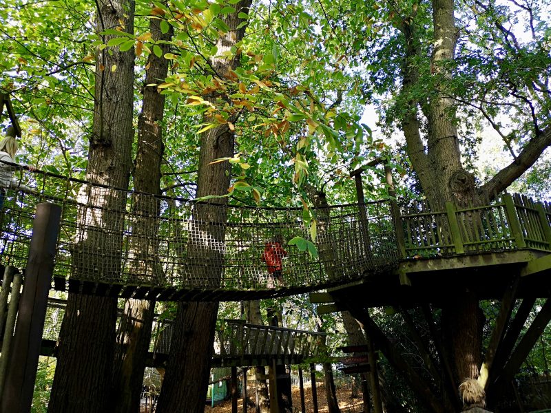 BeWILDerwood bridge